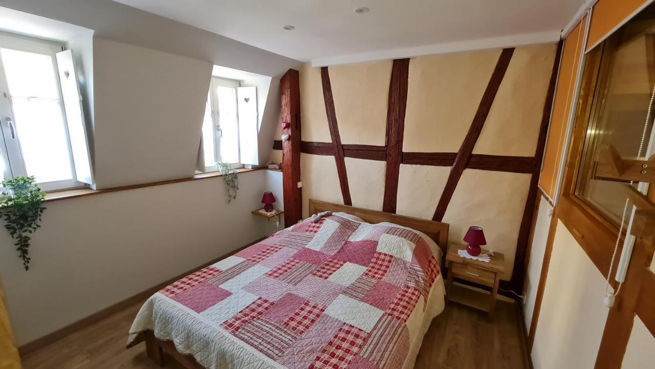 Appartement Duplex Climatise Avec Terrasse "Hansi" Κολμάρ Εξωτερικό φωτογραφία